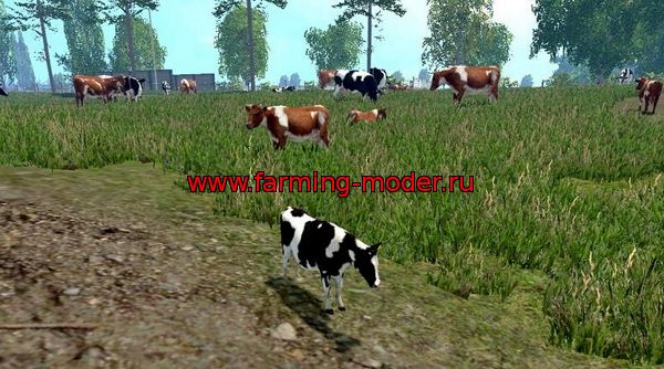 MODELS COWS V 2.0 FS 2015